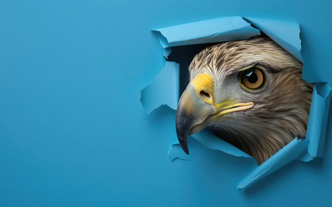 Thunderbird – Gratis je e-mail beheren zonder Outlook of webmail